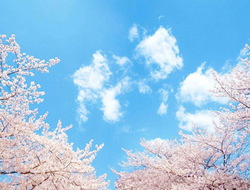 除塵器換布袋我們更專業(yè) 除塵器換布袋我們更專業(yè)