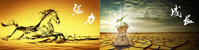 企業(yè)發(fā)展要學(xué)會(huì)取他人之長(zhǎng)、補(bǔ)自己之短